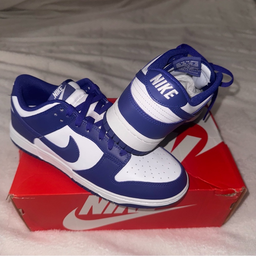 Nike Dunk Low Concord Grape